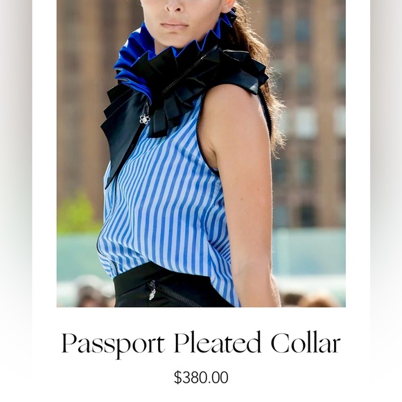 Victorian Passport Pleated Collar - Picture 1 of 8